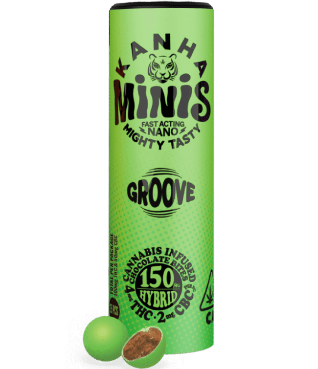 GROOVE Minis